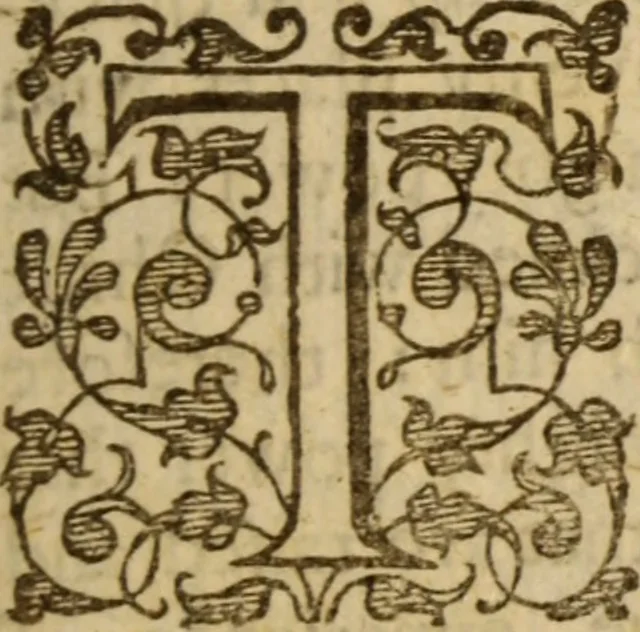 An illustration from Beames of divine light, breaking forth from severall places of Holy Scripture, as they were learnedly opened, in XXI. sermons ; The III. first being the fore-going sermons to that treatise called The bruised-reed, preached on the precedent words, by ... Richard Sibs .., 1639, leaf 154