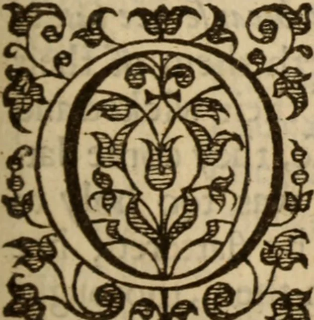 An illustration from Beames of divine light, breaking forth from severall places of Holy Scripture, as they were learnedly opened, in XXI. sermons ; The III. first being the fore-going sermons to that treatise called The bruised-reed, preached on the precedent words, by ... Richard Sibs .., 1639, leaf 180