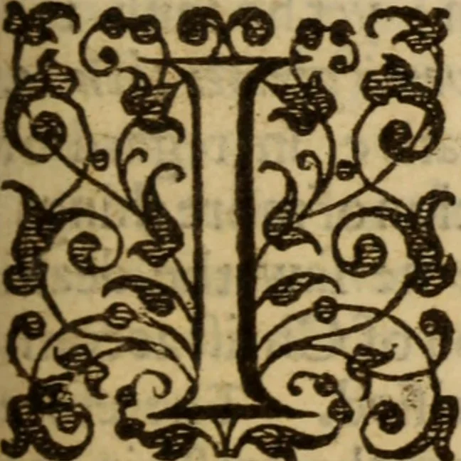 An illustration from Beames of divine light, breaking forth from severall places of Holy Scripture, as they were learnedly opened, in XXI. sermons ; The III. first being the fore-going sermons to that treatise called The bruised-reed, preached on the precedent words, by ... Richard Sibs .., 1639, leaf 240