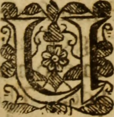 An illustration from Beames of divine light, breaking forth from severall places of Holy Scripture, as they were learnedly opened, in XXI. sermons ; The III. first being the fore-going sermons to that treatise called The bruised-reed, preached on the precedent words, by ... Richard Sibs .., 1639, leaf 352