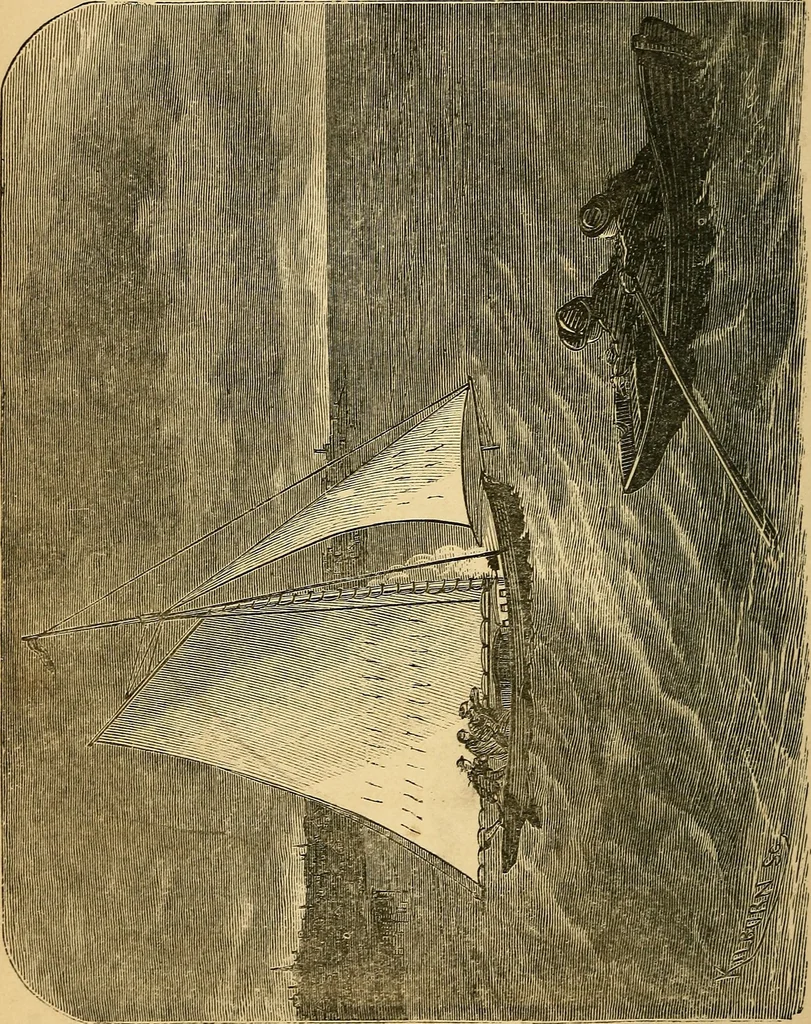 An illustration from Bear and forbear, or, The young skipper of Lake Ucayga, 1871, leaf 113