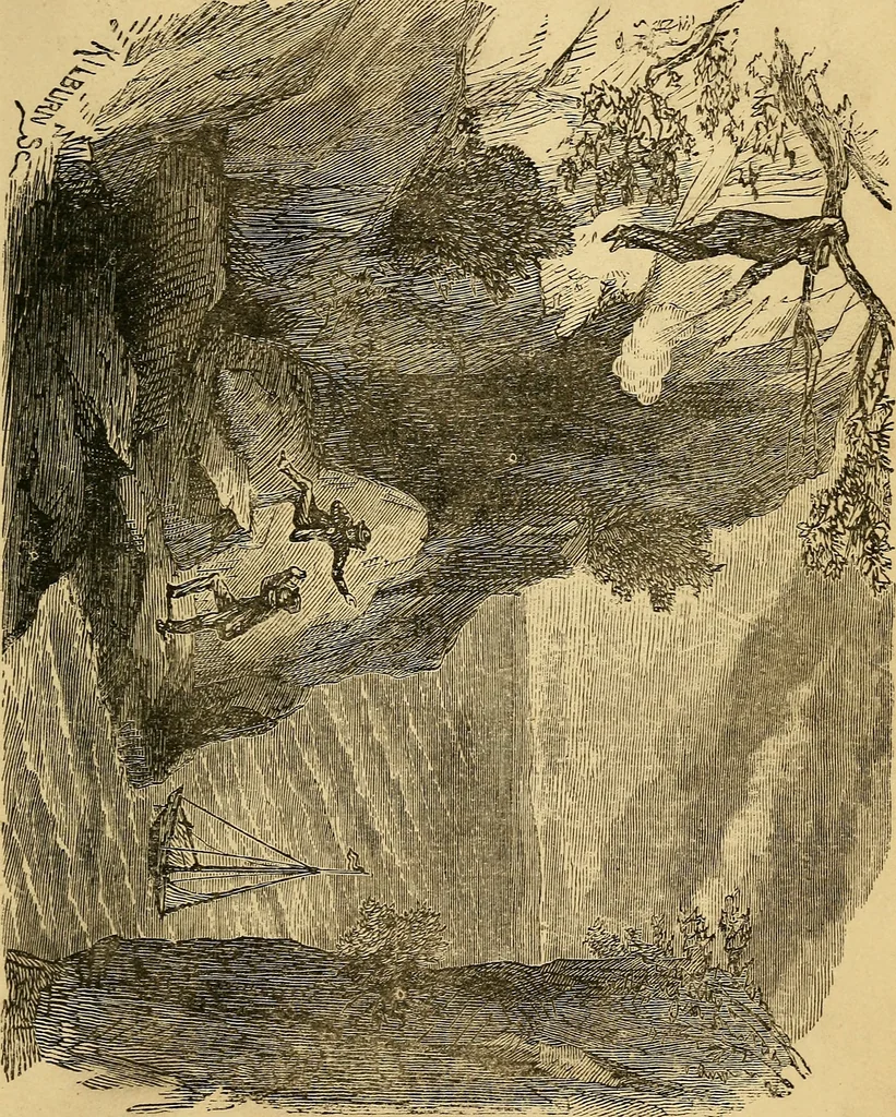 An illustration from Bear and forbear, or, The young skipper of Lake Ucayga, 1871, leaf 166