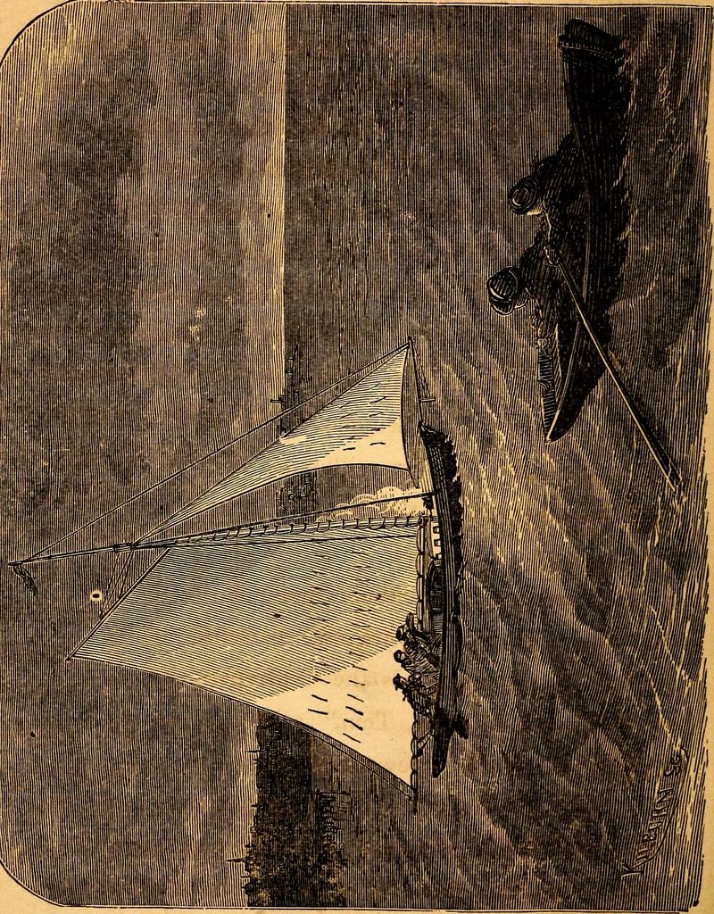 An illustration from Bear and forbear, or, The young skipper of Lake Ucayga, 1870, leaf 111