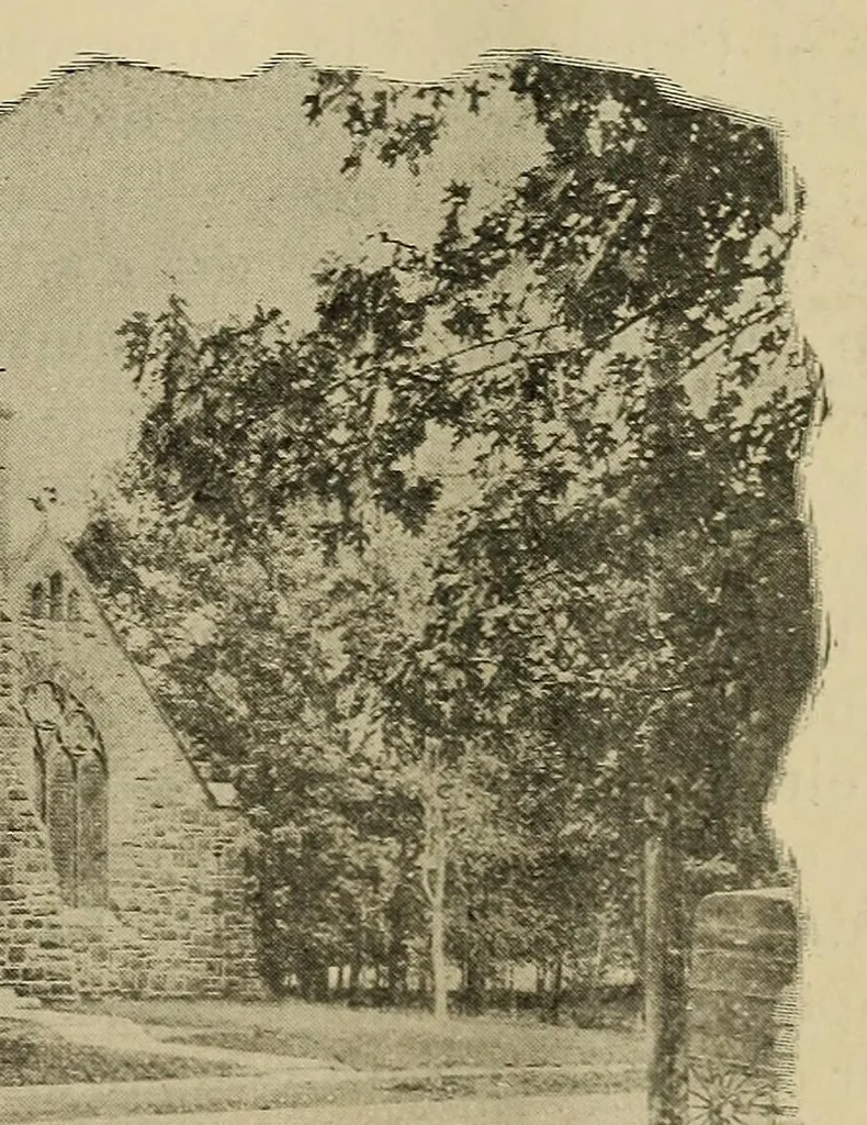 An illustration from The Bearings, 1890, leaf 619