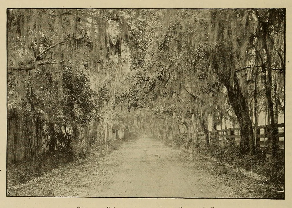 An illustration from The Bearings, 1890, leaf 476