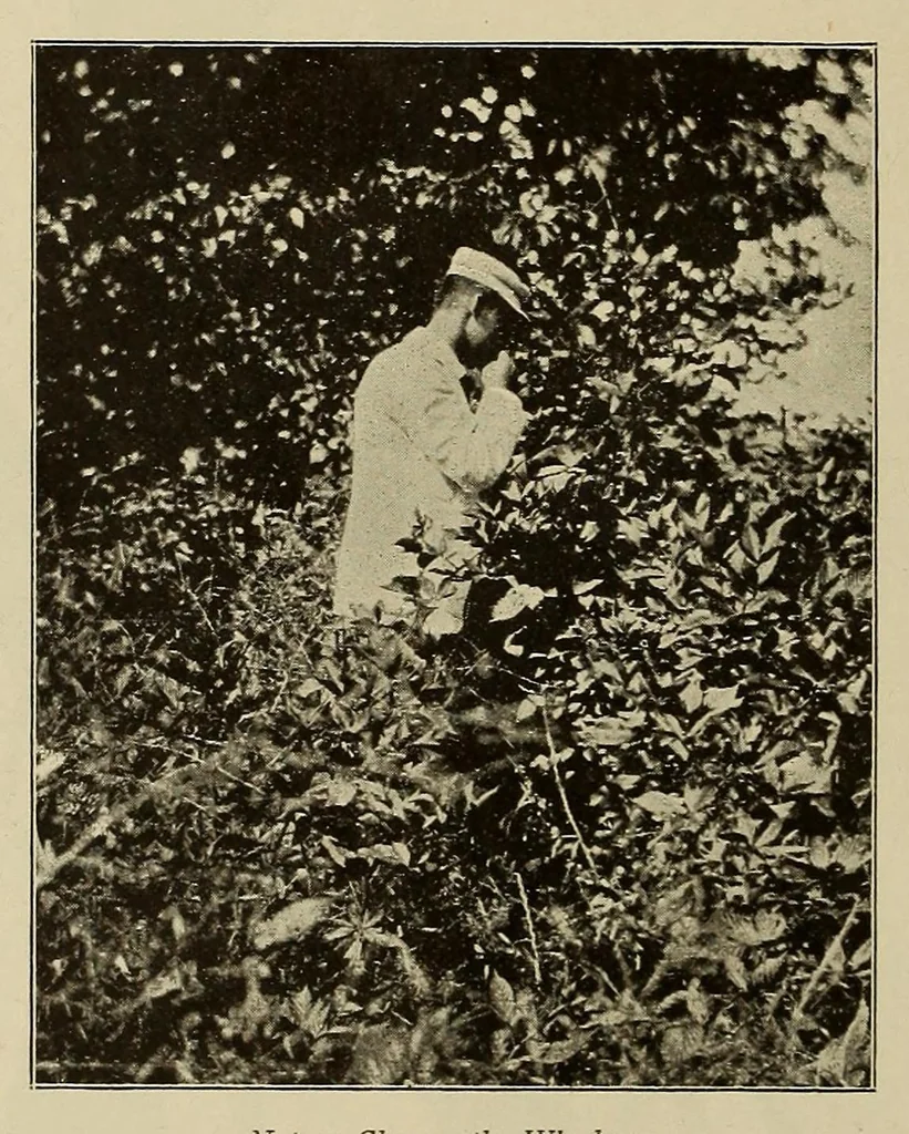 An illustration from The Bearings, 1890, leaf 508