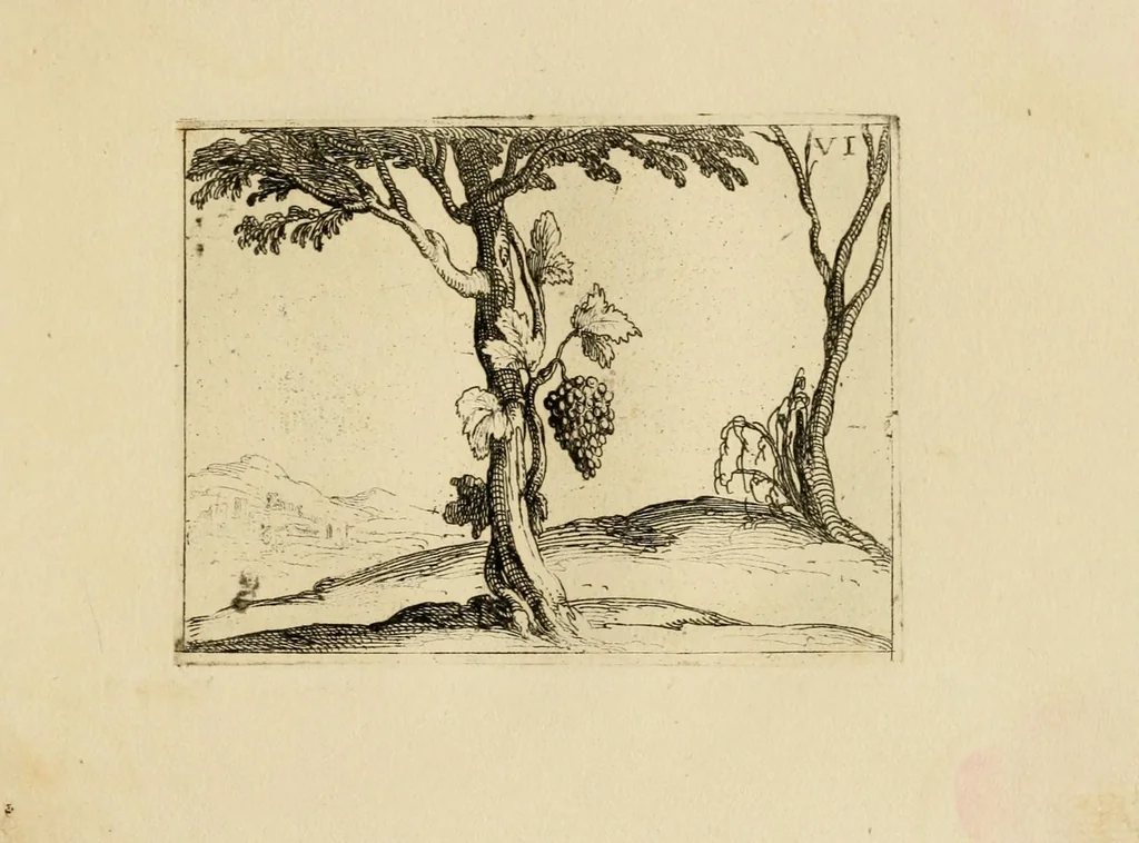 An illustration from Vita beatae Mariae Vir. Matris Dei emblematib[us] delineata, 1646, leaf 17