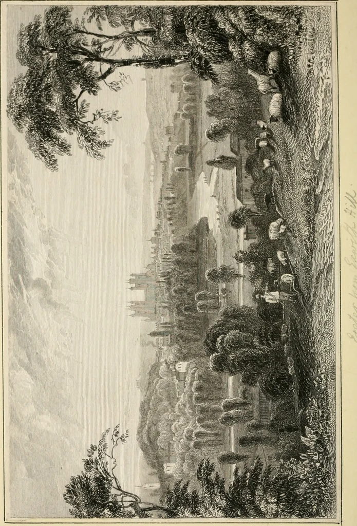 An illustration from The Beauties of England and Wales, or, Delineations, topographical, historical, and descriptive, of each county, 1801, leaf 101