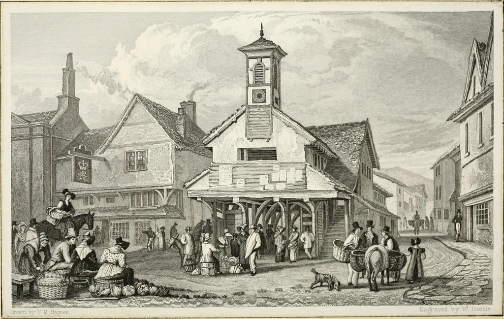 An illustration from The Beauties of England and Wales, or, Delineations, topographical, historical, and descriptive, of each county, 1801, leaf 169