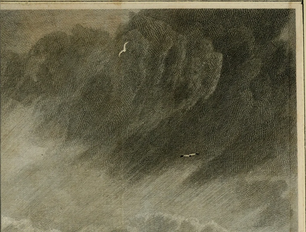 An illustration from The Beauties of England and Wales, or, Delineations, topographical, historical, and descriptive, of each county, 1801, leaf 236