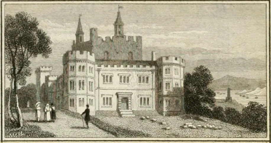 An illustration from The Beauties of England and Wales, or, Delineations, topographical, historical, and descriptive, of each county, 1801, leaf 271