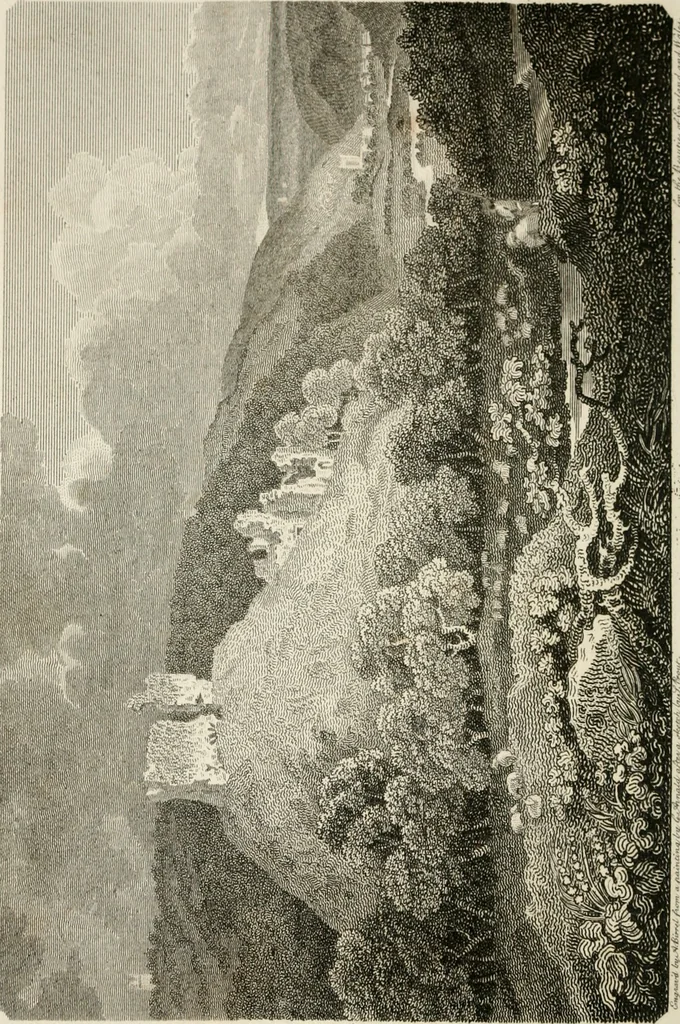 An illustration from The Beauties of England and Wales, or, Delineations, topographical, historical, and descriptive, of each county, 1801, leaf 335