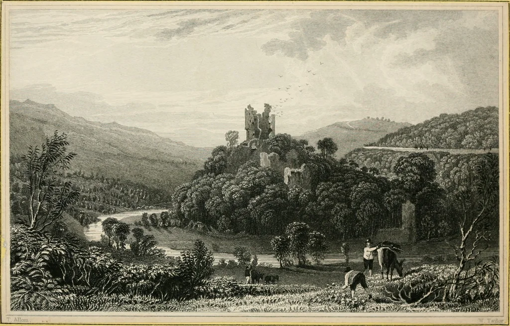 An illustration from The Beauties of England and Wales, or, Delineations, topographical, historical, and descriptive, of each county, 1801, leaf 337
