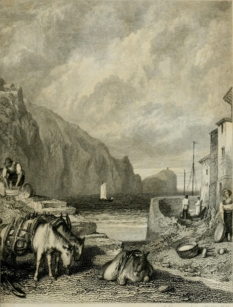 An illustration from The Beauties of England and Wales, or, Delineations, topographical, historical, and descriptive, of each county, 1801, leaf 376
