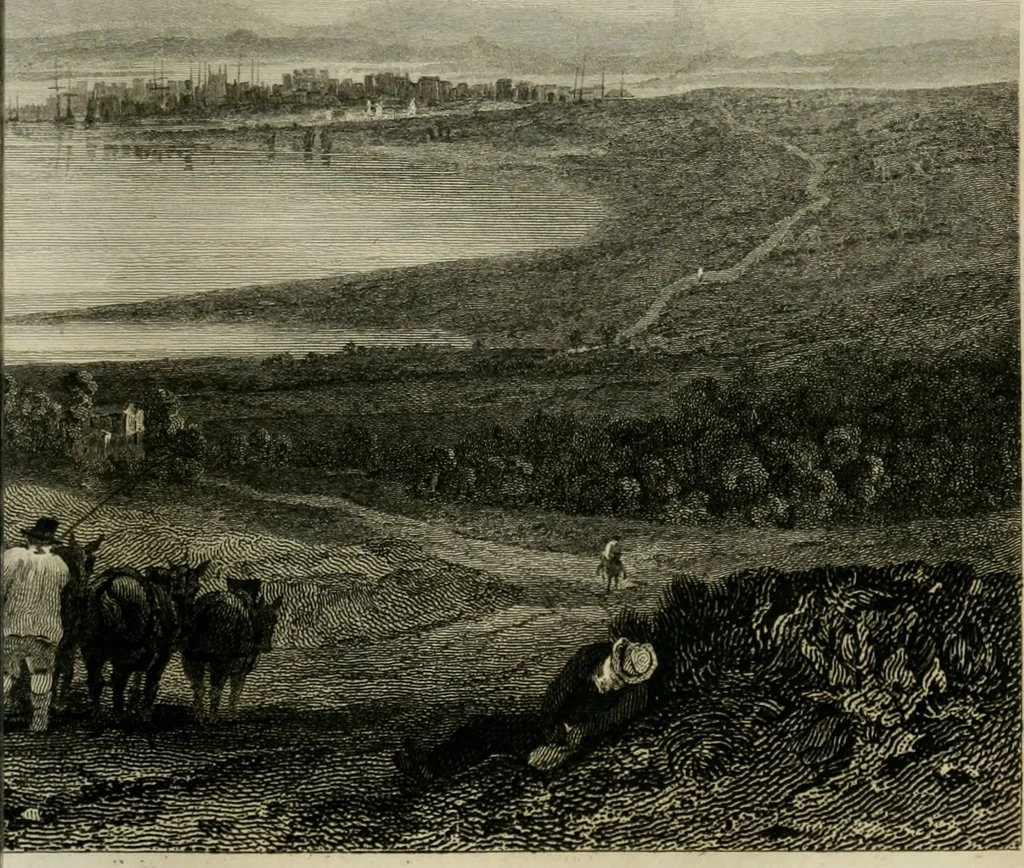 An illustration from The Beauties of England and Wales, or, Delineations, topographical, historical, and descriptive, of each county, 1801, leaf 548