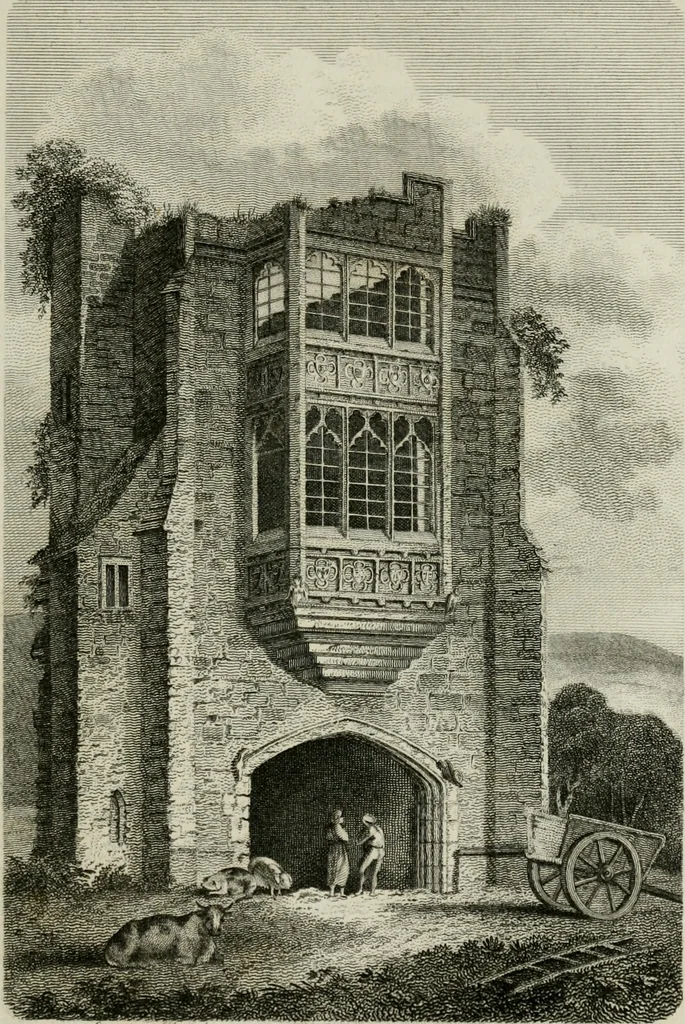 An illustration from The Beauties of England and Wales, or, Delineations, topographical, historical, and descriptive, of each county, 1801, leaf 628