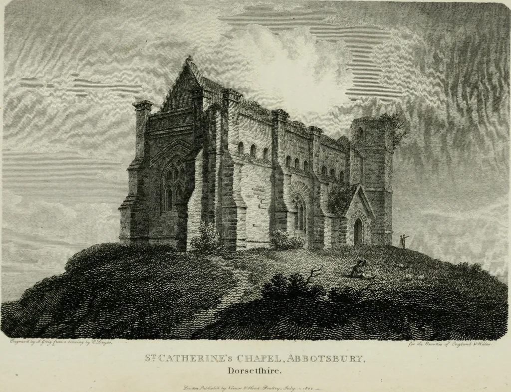 An illustration from The Beauties of England and Wales, or, Delineations, topographical, historical, and descriptive, of each county, 1801, leaf 700