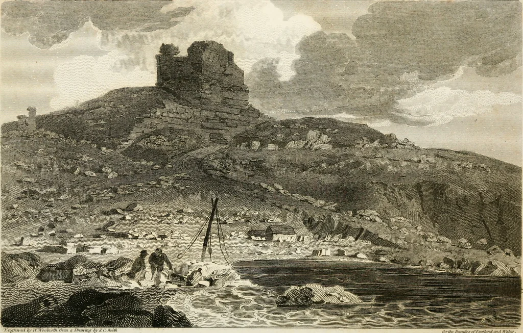 An illustration from The Beauties of England and Wales, or, Delineations, topographical, historical, and descriptive, of each county, 1801, leaf 711