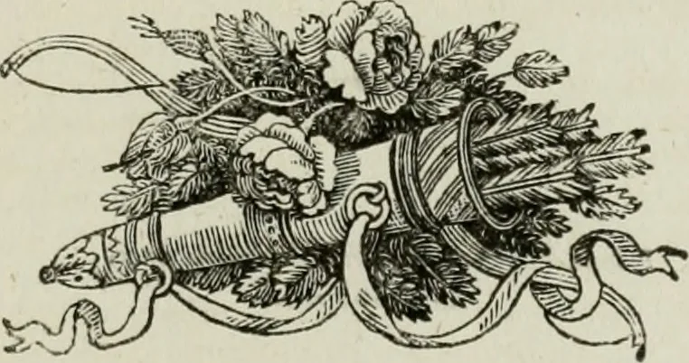 An illustration from The Beauties of England and Wales, or, Delineations, topographical, historical, and descriptive, of each county, 1801, leaf 748
