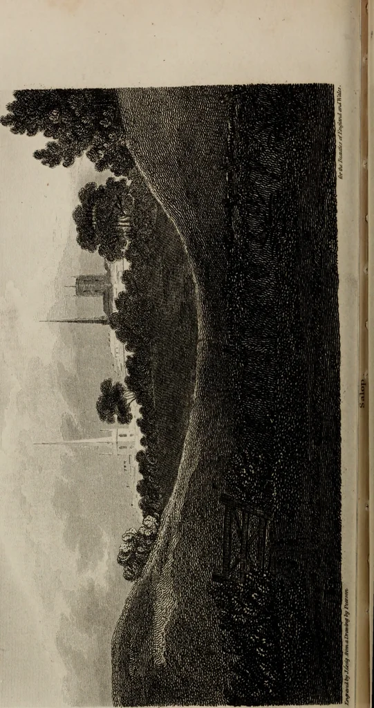 An illustration from The beauties of England and Wales, or, Delineations, topographical, historical, and descriptive, of each county, 1801, leaf 103