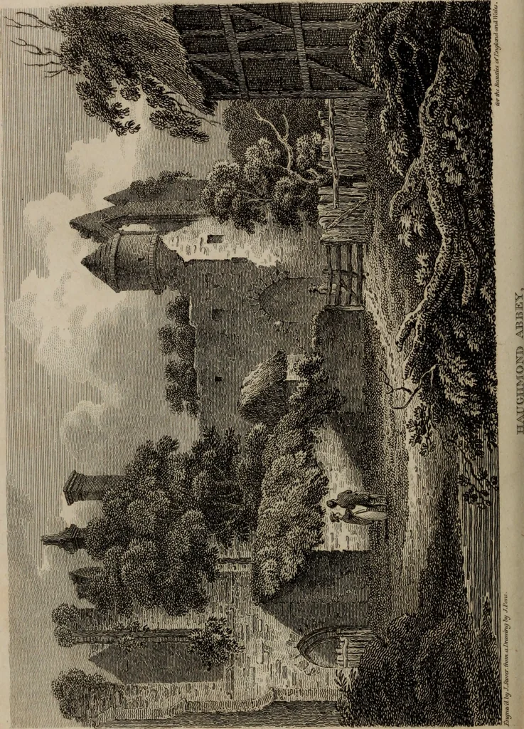 An illustration from The beauties of England and Wales, or, Delineations, topographical, historical, and descriptive, of each county, 1801, leaf 209