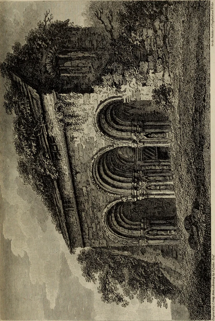 An illustration from The beauties of England and Wales, or, Delineations, topographical, historical, and descriptive, of each county, 1801, leaf 212