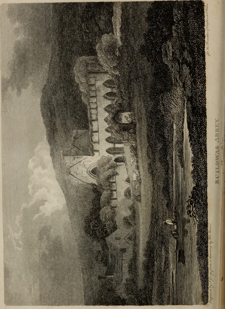 An illustration from The beauties of England and Wales, or, Delineations, topographical, historical, and descriptive, of each county, 1801, leaf 227