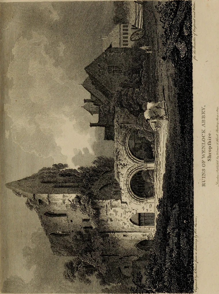 An illustration from The beauties of England and Wales, or, Delineations, topographical, historical, and descriptive, of each county, 1801, leaf 232