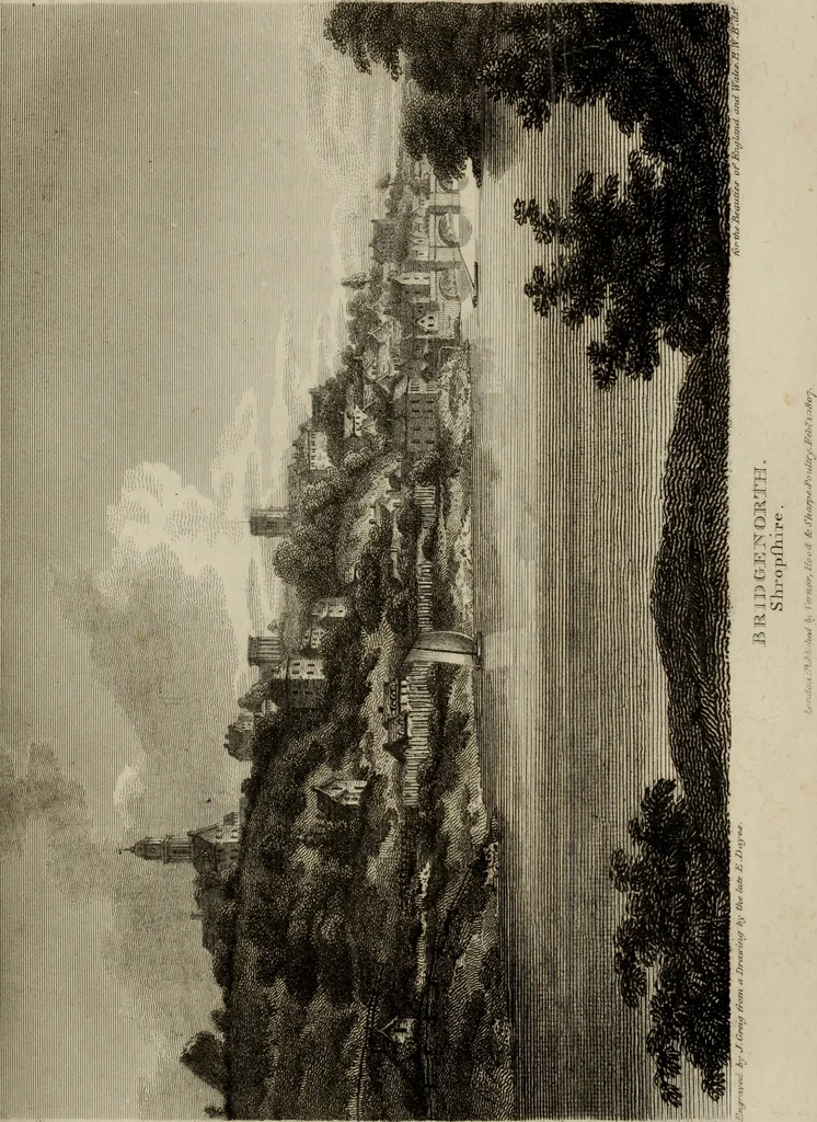 An illustration from The beauties of England and Wales, or, Delineations, topographical, historical, and descriptive, of each county, 1801, leaf 264