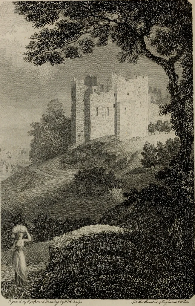 An illustration from The beauties of England and Wales, or, Delineations, topographical, historical, and descriptive, of each county, 1801, leaf 291