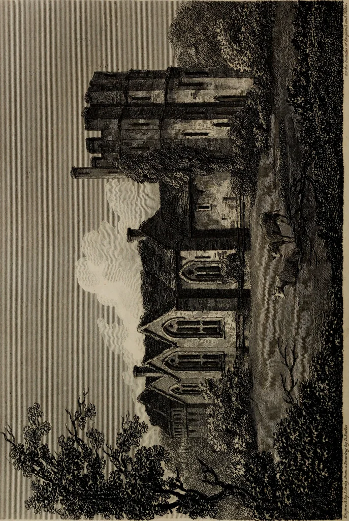 An illustration from The beauties of England and Wales, or, Delineations, topographical, historical, and descriptive, of each county, 1801, leaf 301