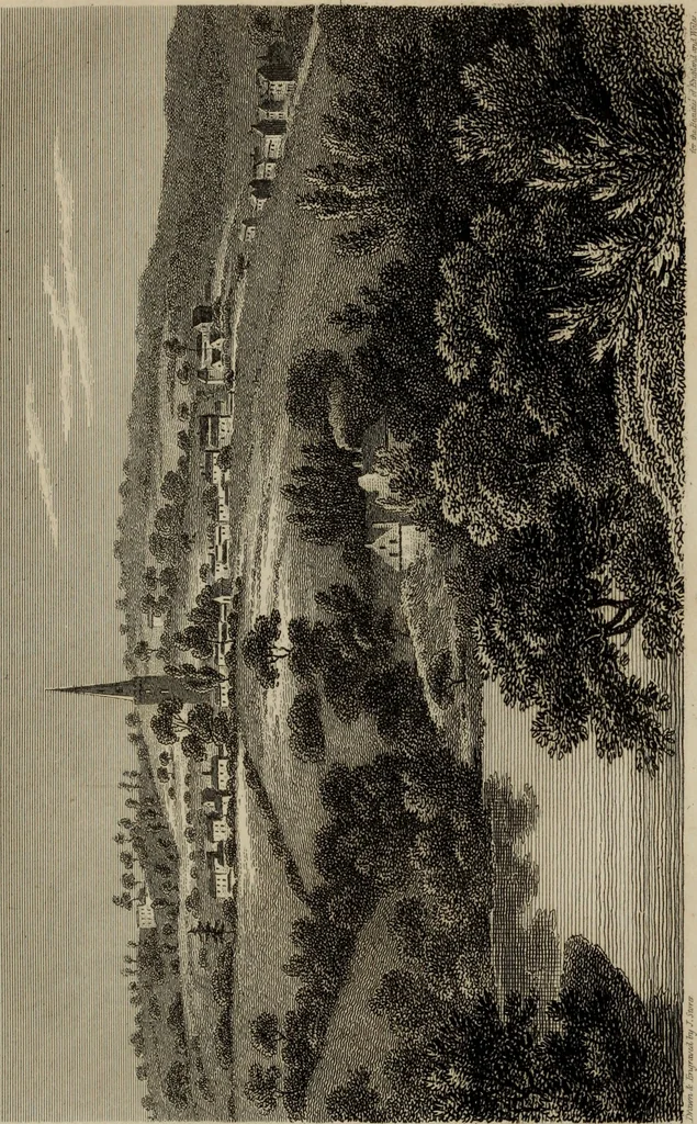 An illustration from The beauties of England and Wales, or, Delineations, topographical, historical, and descriptive, of each county, 1801, leaf 378