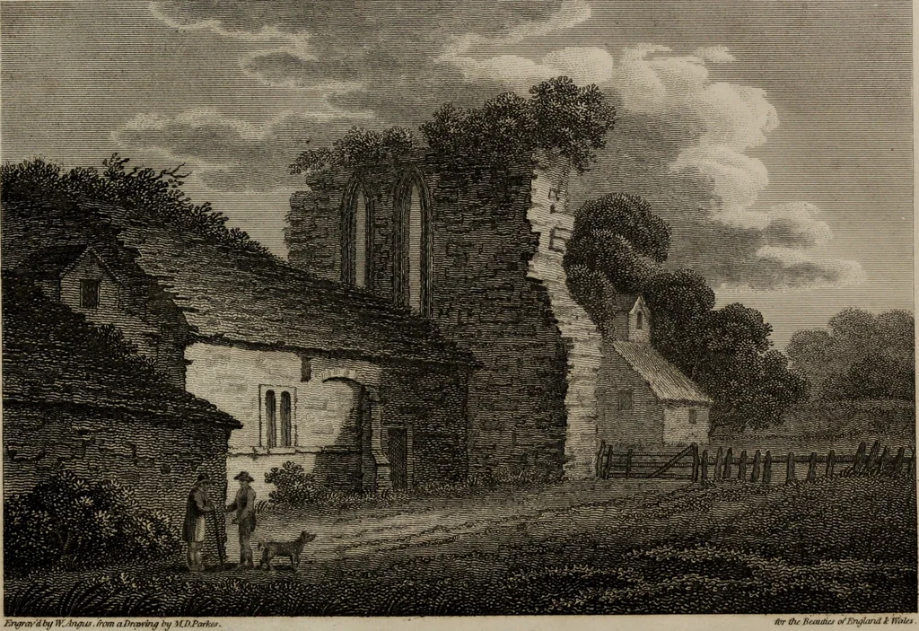 An illustration from The beauties of England and Wales, or, Delineations, topographical, historical, and descriptive, of each county, 1801, leaf 381