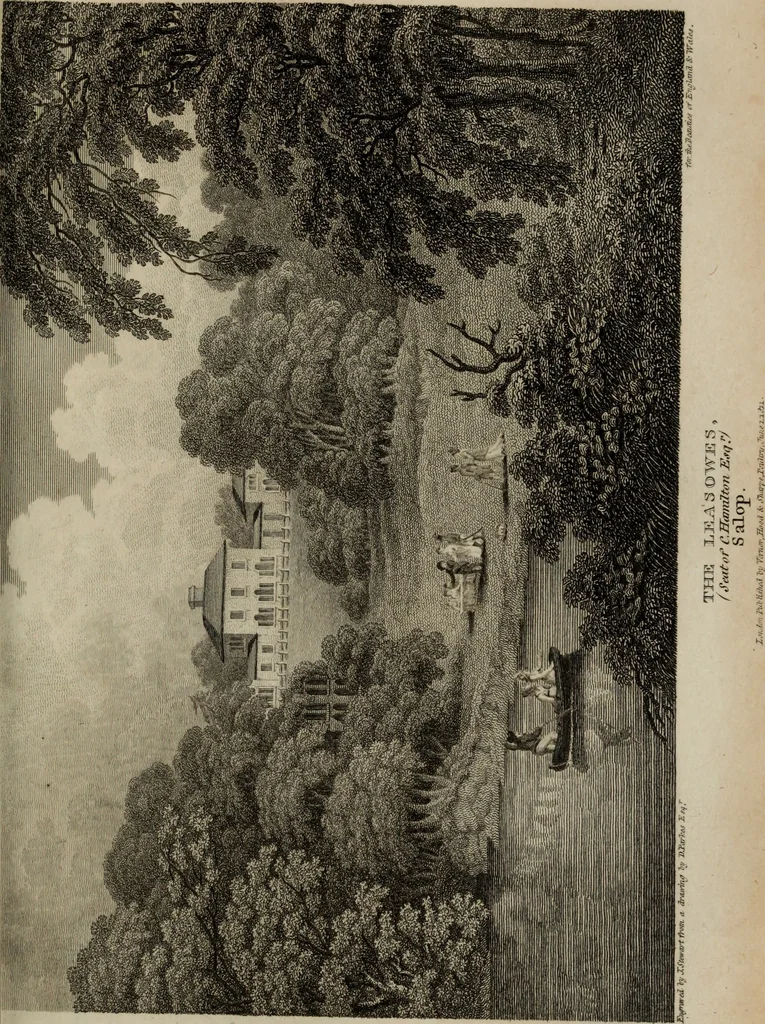 An illustration from The beauties of England and Wales, or, Delineations, topographical, historical, and descriptive, of each county, 1801, leaf 384