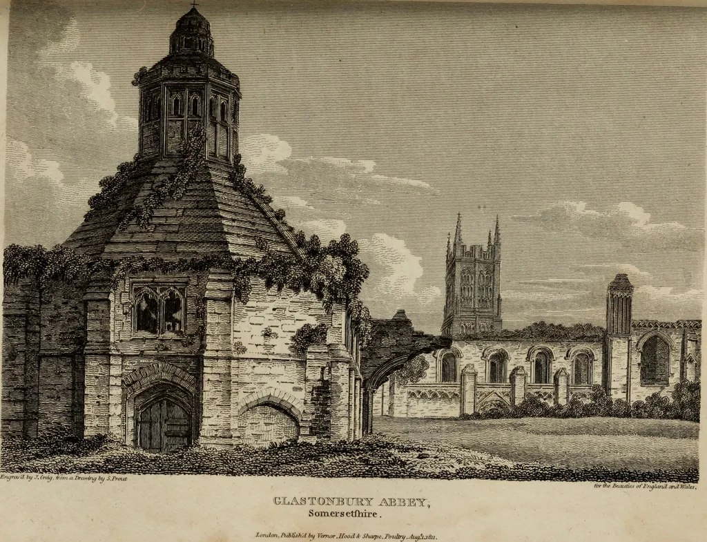 An illustration from The beauties of England and Wales, or, Delineations, topographical, historical, and descriptive, of each county, 1801, leaf 566