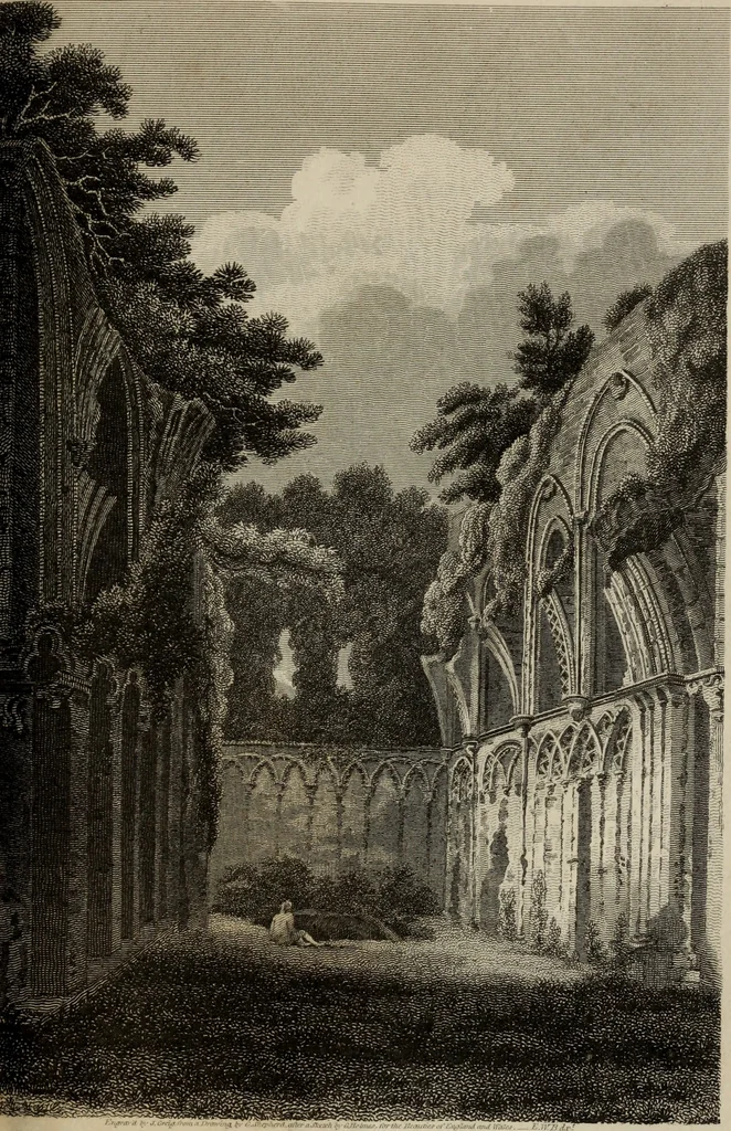 An illustration from The beauties of England and Wales, or, Delineations, topographical, historical, and descriptive, of each county, 1801, leaf 572