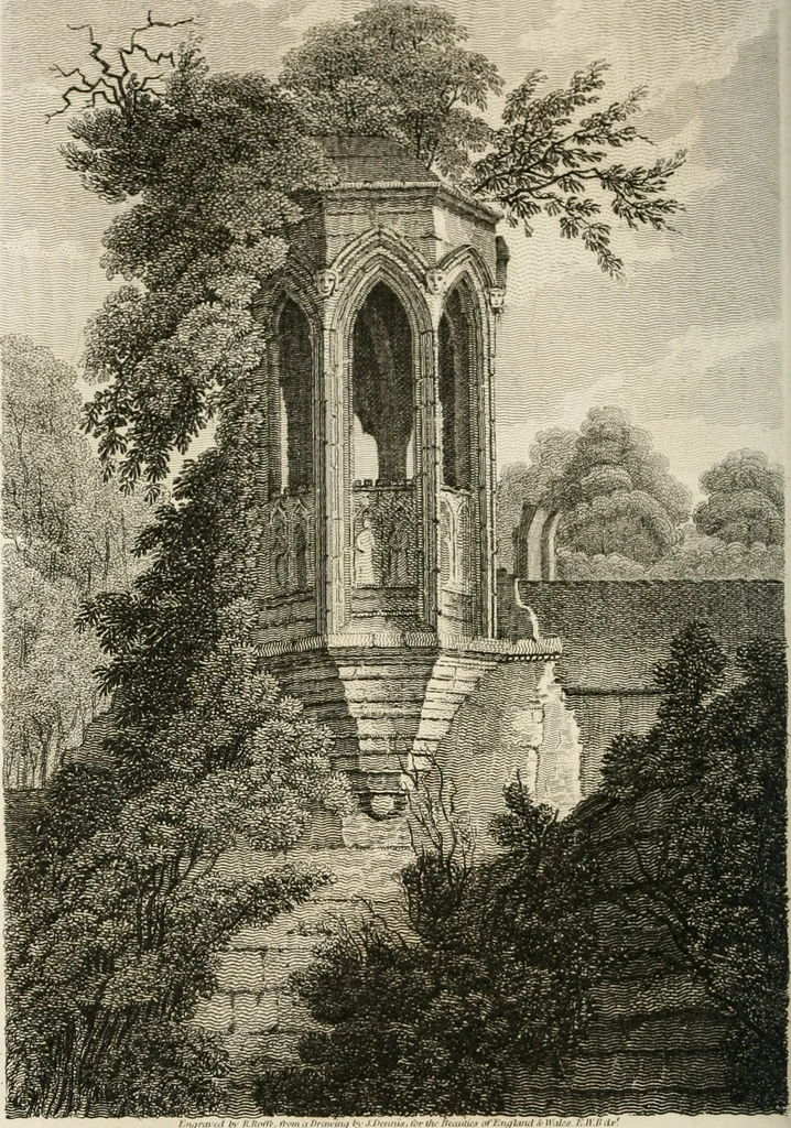 An illustration from The Beauties of England and Wales, or, Delineations, topographical, historical, and descriptive, of each county, 1801, leaf 119