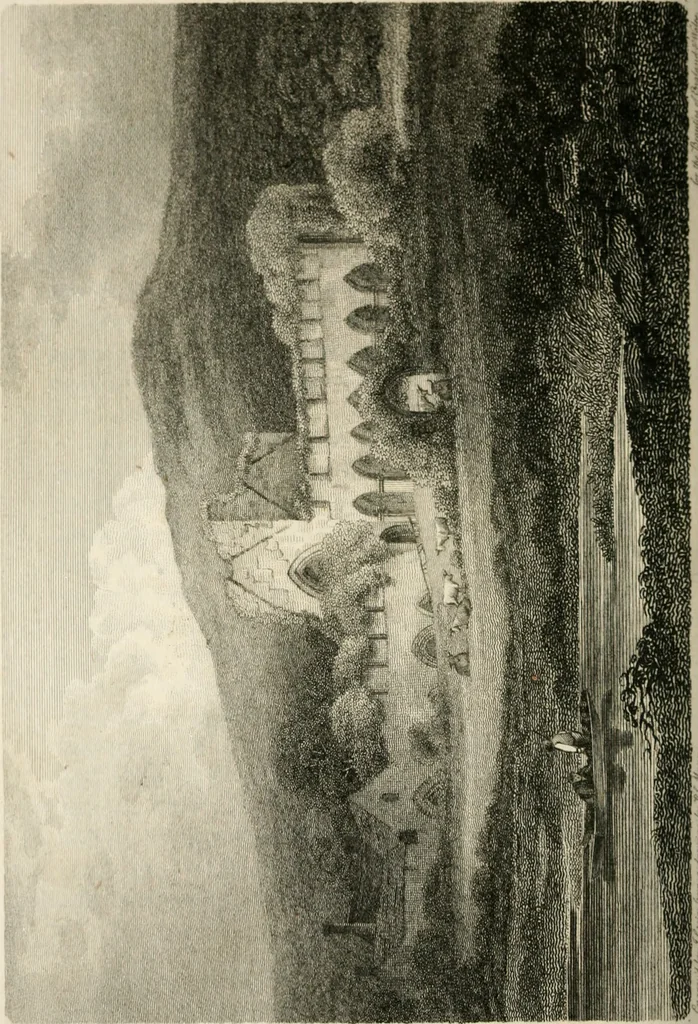 An illustration from The Beauties of England and Wales, or, Delineations, topographical, historical, and descriptive, of each county, 1801, leaf 231
