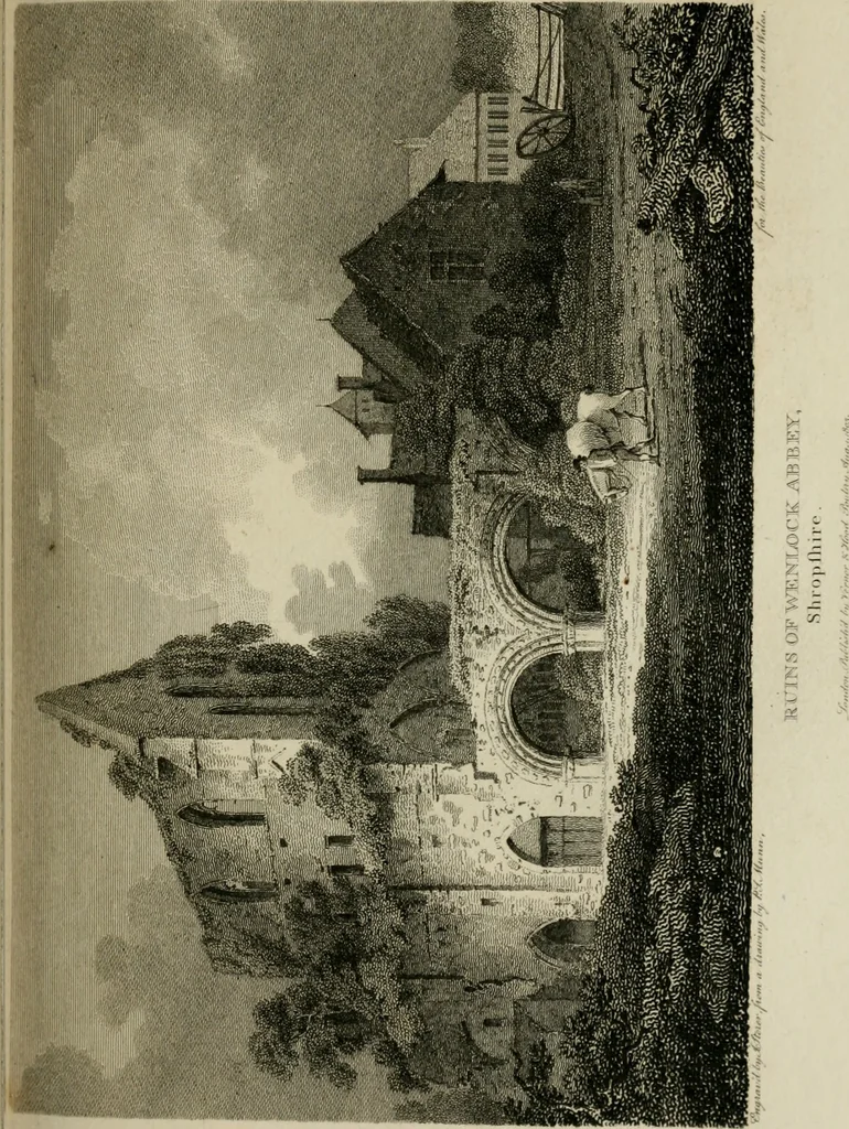 An illustration from The Beauties of England and Wales, or, Delineations, topographical, historical, and descriptive, of each county, 1801, leaf 236