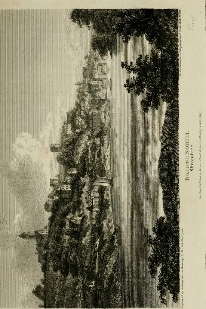 An illustration from The Beauties of England and Wales, or, Delineations, topographical, historical, and descriptive, of each county, 1801, leaf 270
