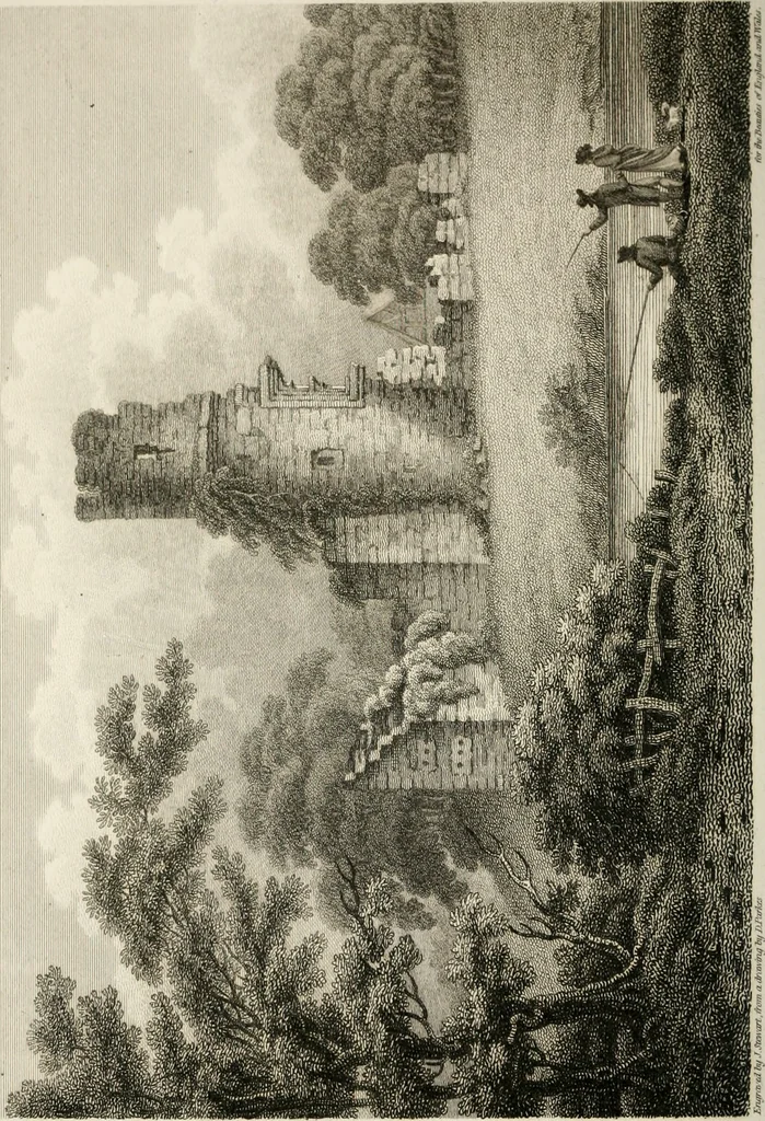 An illustration from The Beauties of England and Wales, or, Delineations, topographical, historical, and descriptive, of each county, 1801, leaf 331