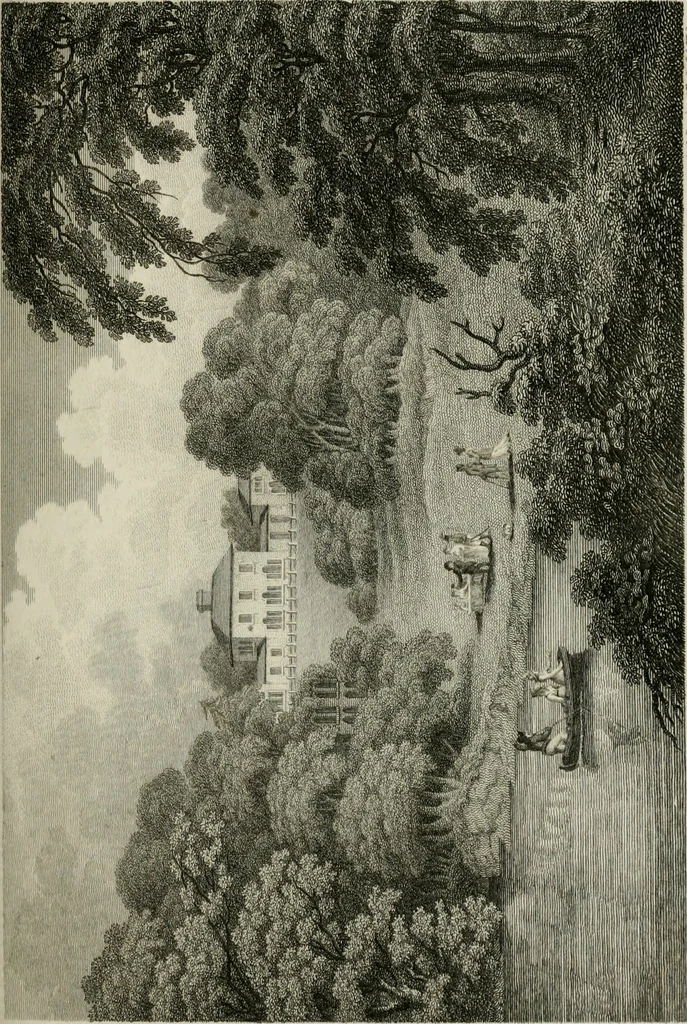 An illustration from The Beauties of England and Wales, or, Delineations, topographical, historical, and descriptive, of each county, 1801, leaf 390