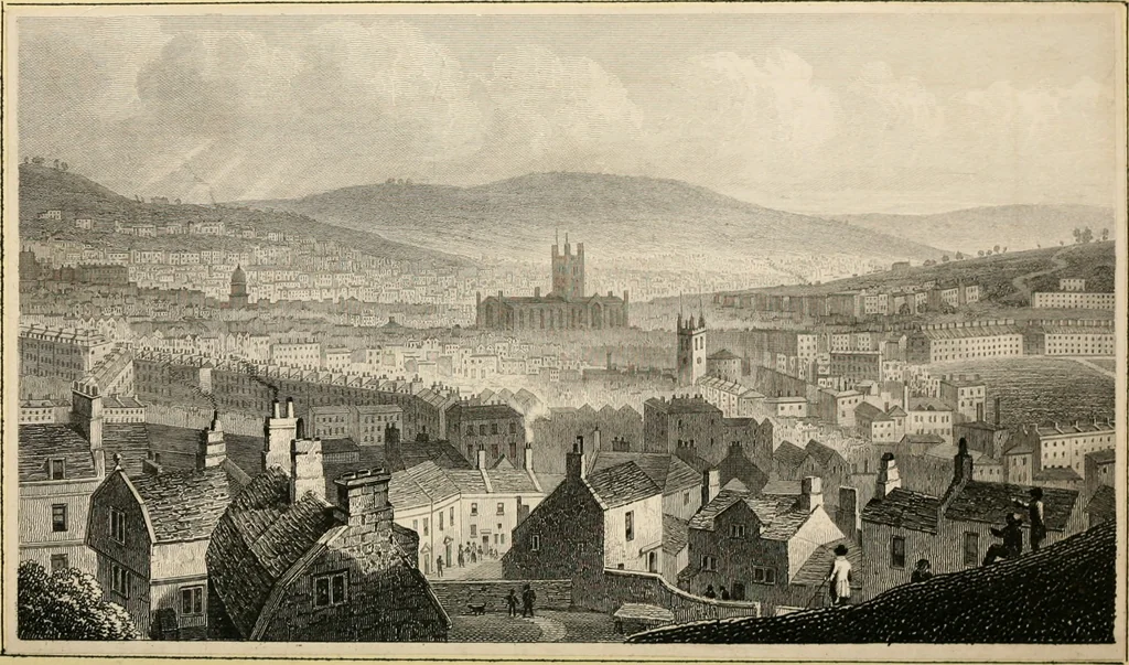 An illustration from The Beauties of England and Wales, or, Delineations, topographical, historical, and descriptive, of each county, 1801, leaf 461