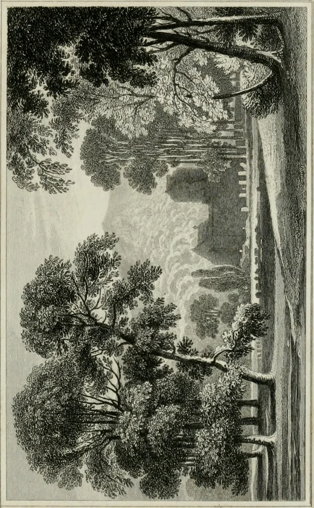 An illustration from The Beauties of England and Wales, or, Delineations, topographical, historical, and descriptive, of each county, 1801, leaf 540