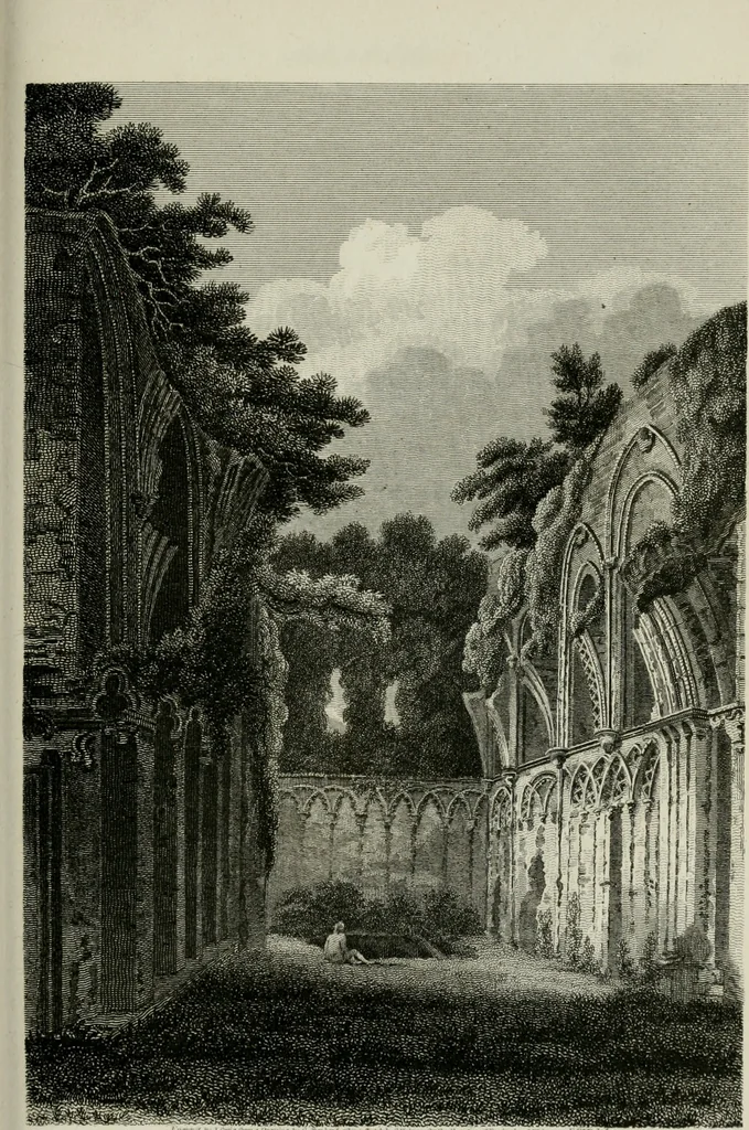 An illustration from The Beauties of England and Wales, or, Delineations, topographical, historical, and descriptive, of each county, 1801, leaf 612