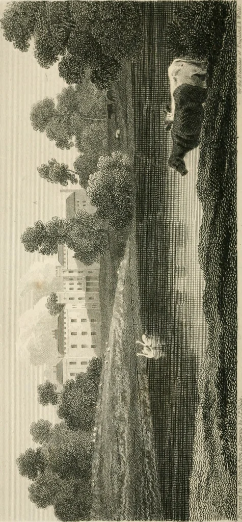 An illustration from The Beauties of England and Wales, or, Delineations, topographical, historical, and descriptive, of each county, 1801, leaf 293
