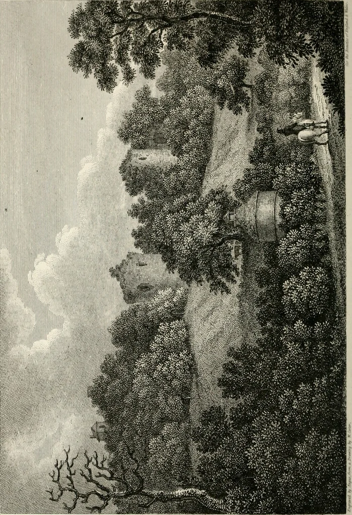 An illustration from The Beauties of England and Wales, or, Delineations, topographical, historical, and descriptive, of each county, 1801, leaf 397