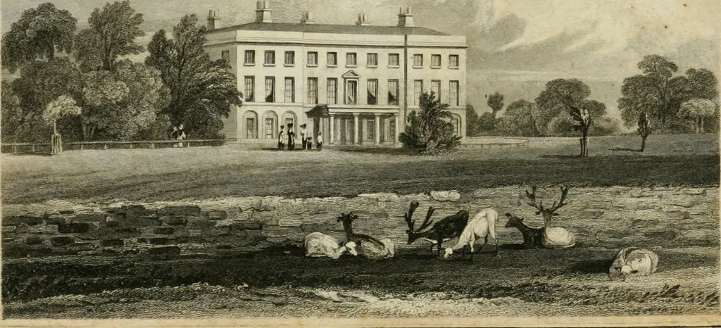 An illustration from The Beauties of England and Wales, or, Delineations, topographical, historical, and descriptive, of each county, 1801, leaf 668