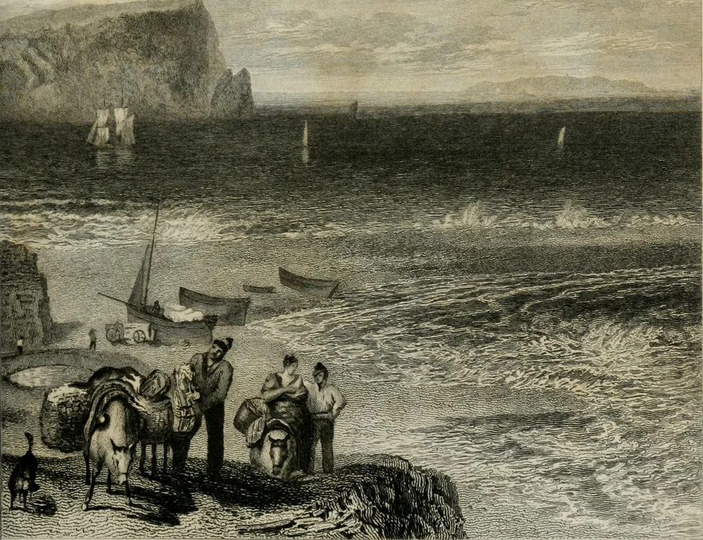 An illustration from The Beauties of England and Wales, or, Delineations, topographical, historical, and descriptive, of each county, 1801, leaf 672