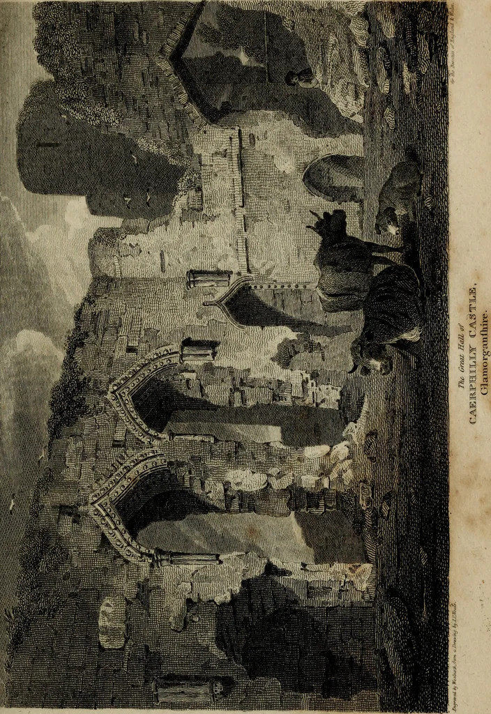 An illustration from The beauties of England and Wales, or, Delineations, topographical, historical, and descriptive, of each county, 1801, leaf 678
